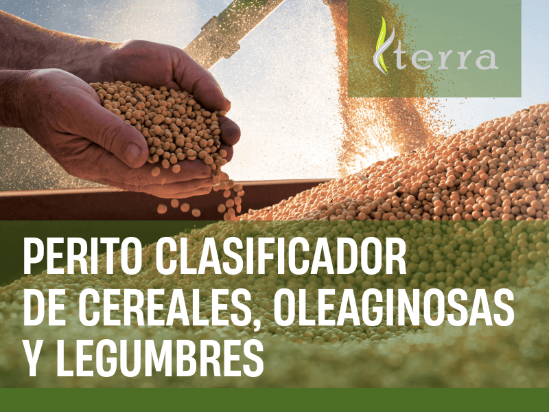 Perito Clasificador de Cereales, Oleaginosas y Legumbres