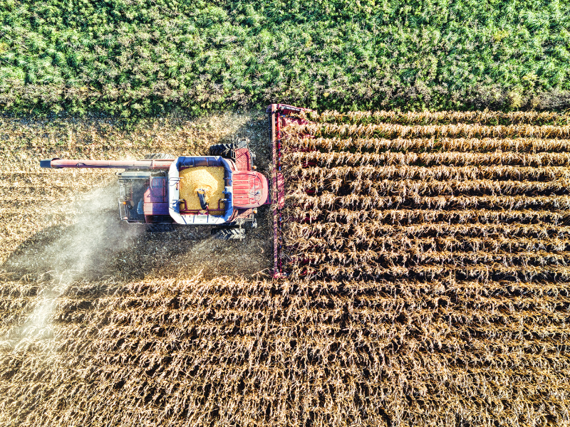8 y 9 de septiembre Día Nacional y Mundial de la Agricultura.